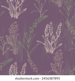 lavender pattern seamless. Print for printing on textiles, clothing, packaging. Marketing of lavender products. Vector illustration, hand drawn.
