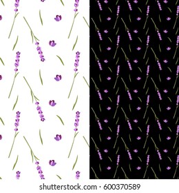 Lavender pattern set on black and white background, vector illustration.  