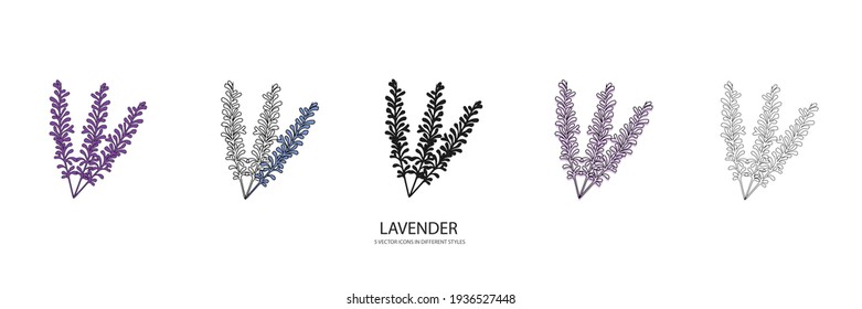 Icono de tipo vector de perfume de lavanda