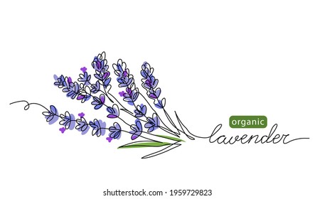 Lavender Plant Bunch, Branch Vector Illustration. One Continuous Line Drawing Illustration With Lettering Organic Lavender.