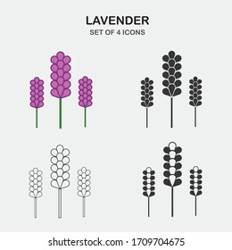 Lavender Plant Vector Icon Scent Flower