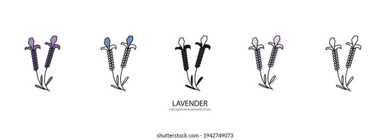 lavender plant vector type icon
