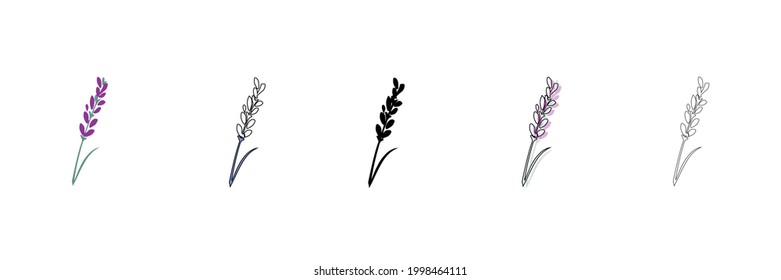 lavender plant vector type icon