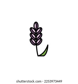lavender plant vector type icon