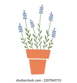 Lavender in pot, doodle icon of clay flowerpot with plant, vector illustration of earthenware, redware, terra cotta, home gardening, isolated colored clipart on white background