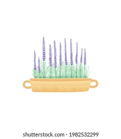 Lavanda en una olla, icono vectorial aislado. Baldosas de lavanda en casa, flores aromáticas en casa, jardín en casa. Flores de pasatiempo, lavanda en olla para el balcón, decoración.
