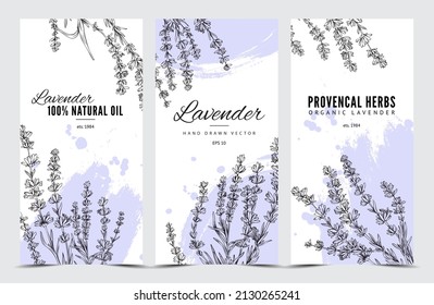 Lavender provencal herbs and aromatic oil hand drawn banners or cards set, vintage engraving style vector illustration. Lavender flower posters collection.