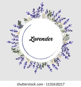 Lavender round frame, wreath. Floral lavender frame, flower wreath nature lavender plant. Vector illustration