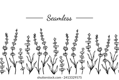 Lavender seamless border. Black and white hand drawn ink line vector botanical illustration. Horizontal background with spring floral pattern.