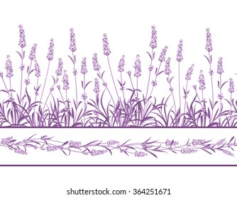 The Lavender Seamless frame line.