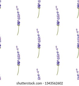 lavender seamless pattern