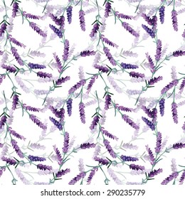 Lavender seamless pattern