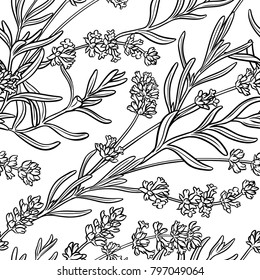 Lavender Seamless Pattern