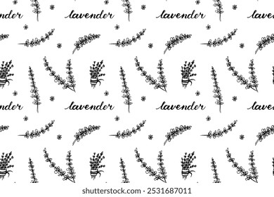 Lavender seamless pattern design. Purple blossom ornament. Hand drawn doodle flowers illustration