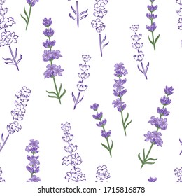 Lavender seamless pattern. Floral background. Beautiful lavender flowers on white background. Vector color illustration in cartoon flat style and outline.