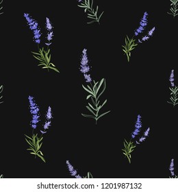 Lavender seamless pattern. Floral vector watercolor vintage sketch. Botanical colorful illustration on black background.