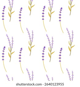Lavender seamless pattern with flowers . Floral background. Provence design with lavender. Hand drawn vector illustration for textile, wrapping paper, clothing, packaging.