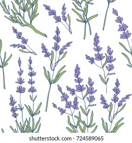 lavender seamless pattern vector