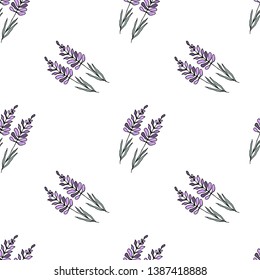 Lavender. Seamless pattern.  Vector illustration.