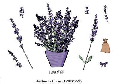 Lavender set composition in doodle style. Flowers elements isolated on white background. Vector illustration.