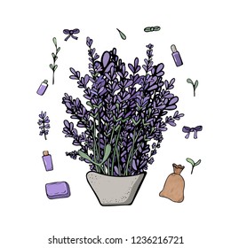 Lavender set composition in doodle style. Flowers elements isolated on white background. Vector illustration.