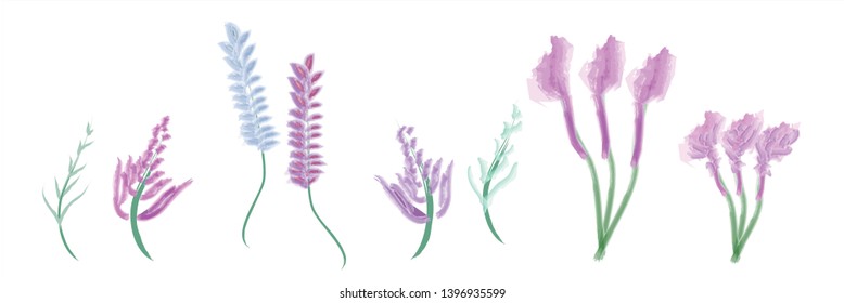 lavender set on white background