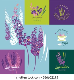 Lavender, set of vector elements and illustration