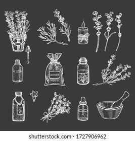 Lavender set. Vector illustration. Sketch	
