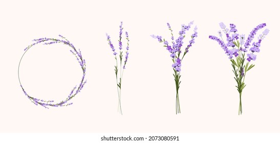 Lavender set vector stock illustration. A bouquet of lilac flowers. Round frame wreath of purple buds. Lilac twigs. svg