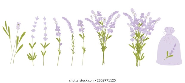 Ilustración del material vectorial del conjunto de lavanda. Un ramo de flores de lila. El marco redondo era de brotes morados. Diablos de Lilac.