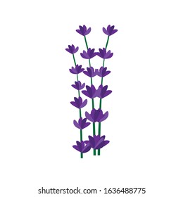 Lavender Simple Illustration Clip Art Vector