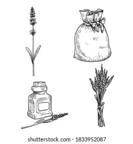 Lavender sketch set. Single lavender stem with flowers, bag with lavender, bouquet and lavender oil in small bottle. Hand drawn illustrations for cosmetic and aroma designs.