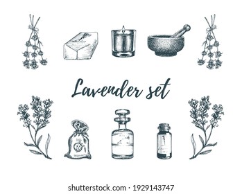 Lavender sketches set. Vector graphic illustrations for poster, sticker, shop label etc.