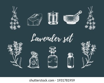 Lavender sketches set. Vector graphic illustrations for poster, sticker, shop label etc.