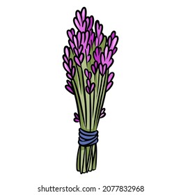 Icono aislado de doodle dibujado a mano con el paquete de manchas de lavanda. Logo de las hierbas vegetales. Elemento de glifo de contorno