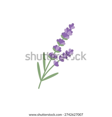 Lavender Sprig Minimal Flat Clean Botanical Vector Icon