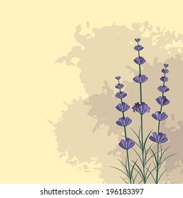 Lavender sprigs on the violet ink spots background