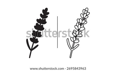 Lavender sprigs outline with transparent background