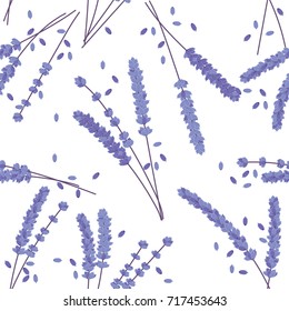 The lavender in the spring. Blue flower is vector for seamless, pattern and background.