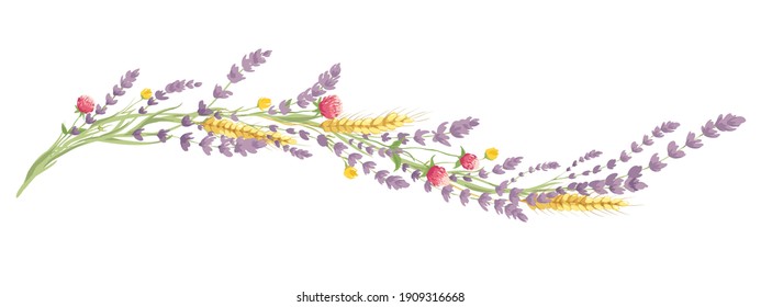 Lavender and summer flowers -- narrow banner. Long border, entwined flowers in the shape of a wave, vector illustration, design element.