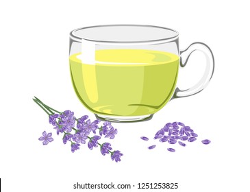 Lavender tea in a glass cup with dried flowers isolated on white background. Vector illustration of hot drink in simple flat style.