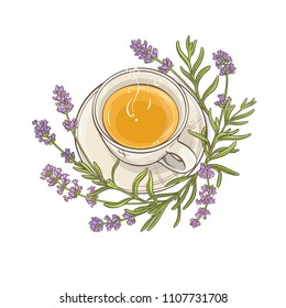 lavender tea illustration