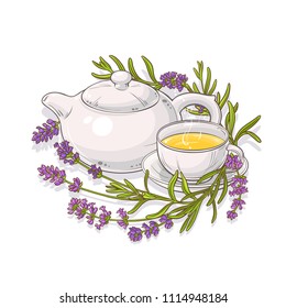 lavender tea illustration