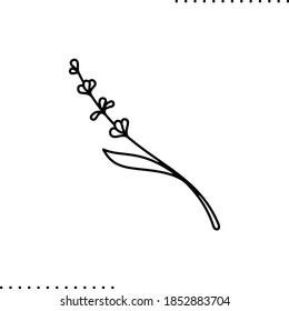 Lavender twig vector icon in outlines 