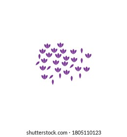 Icono de ilustración de diseño vectorial de lavanda
