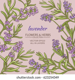 lavender vector  frame