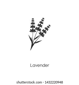 lavender vector icon. aroma. Linear style sign for mobile concept and web design. lavender symbol logo illustration. vector graphics - Vector.