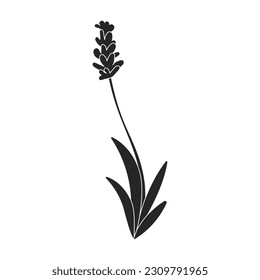 Lavender vector icon.Black vector icon isolated on white background lavender.