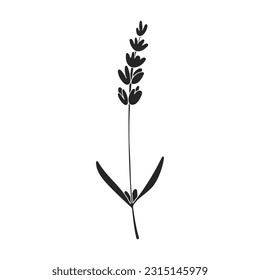 Lavender vector icon.Black vector icon isolated on white background lavender.