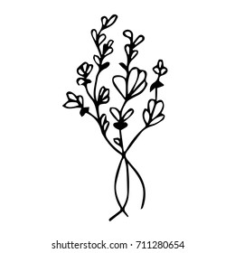 Lavender vector illustration. Doodle style. Design icon, print, logo, poster, symbol, decor, textile, paper, card. 